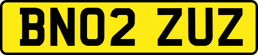 BN02ZUZ
