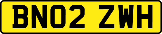 BN02ZWH