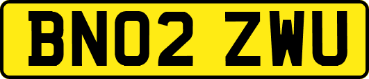BN02ZWU