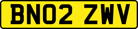 BN02ZWV