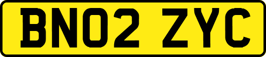 BN02ZYC