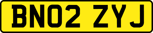 BN02ZYJ