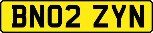 BN02ZYN