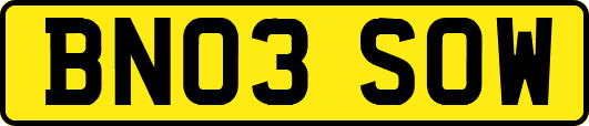 BN03SOW