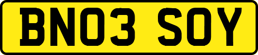 BN03SOY