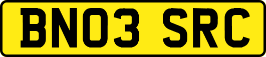 BN03SRC