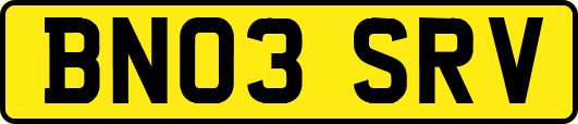 BN03SRV