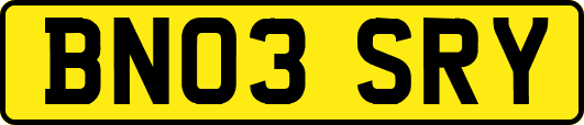 BN03SRY