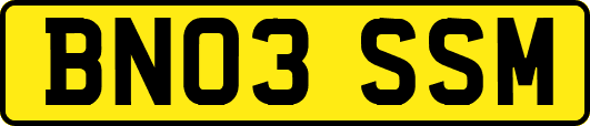 BN03SSM