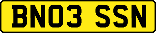 BN03SSN