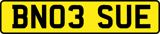 BN03SUE