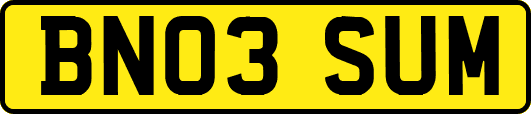 BN03SUM