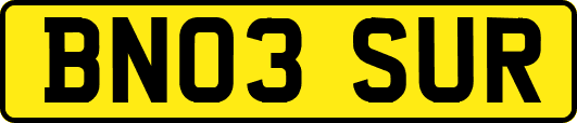 BN03SUR