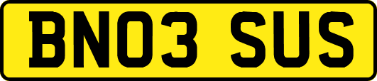 BN03SUS