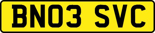 BN03SVC