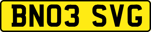 BN03SVG