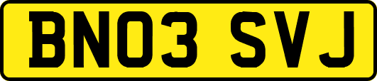 BN03SVJ