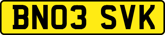 BN03SVK