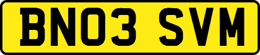 BN03SVM