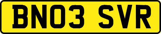 BN03SVR