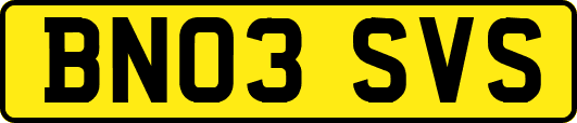 BN03SVS