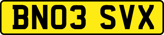 BN03SVX