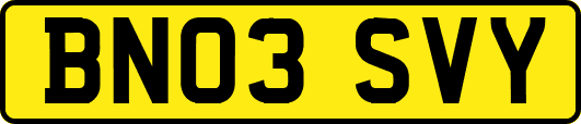 BN03SVY
