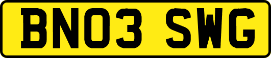 BN03SWG