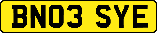 BN03SYE