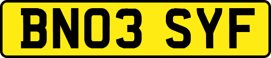 BN03SYF