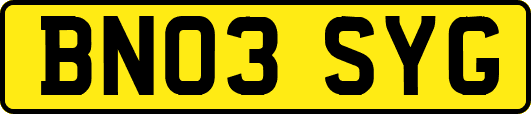BN03SYG