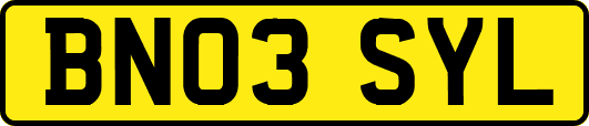 BN03SYL
