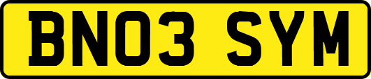 BN03SYM