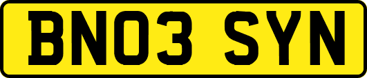 BN03SYN