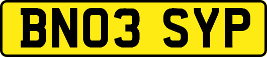 BN03SYP