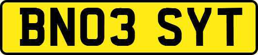 BN03SYT