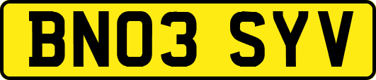BN03SYV