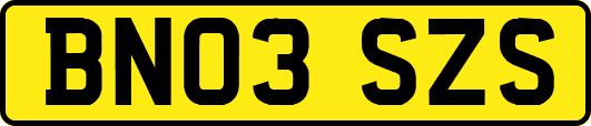 BN03SZS