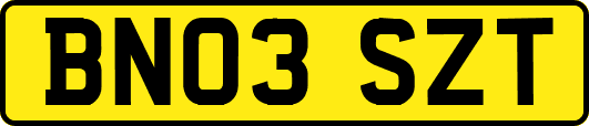 BN03SZT