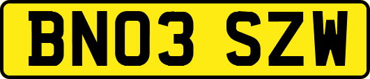 BN03SZW