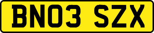 BN03SZX