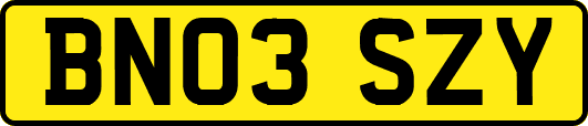 BN03SZY