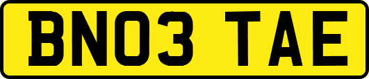 BN03TAE