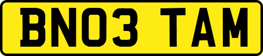 BN03TAM