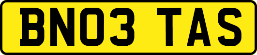 BN03TAS