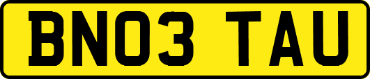 BN03TAU