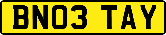 BN03TAY
