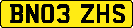 BN03ZHS