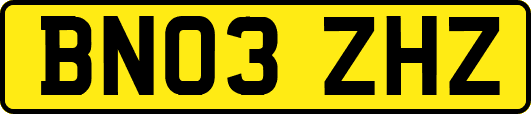 BN03ZHZ