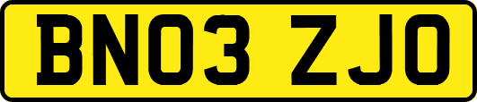 BN03ZJO